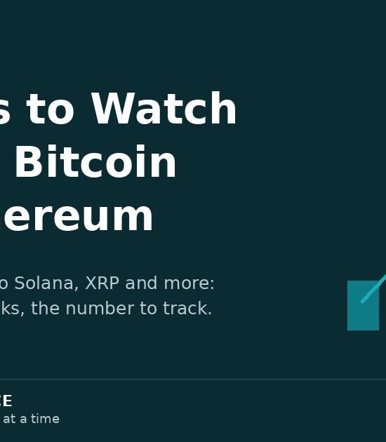 Altcoins to Watch: A Beginner’s Guide Beyond Bitcoin